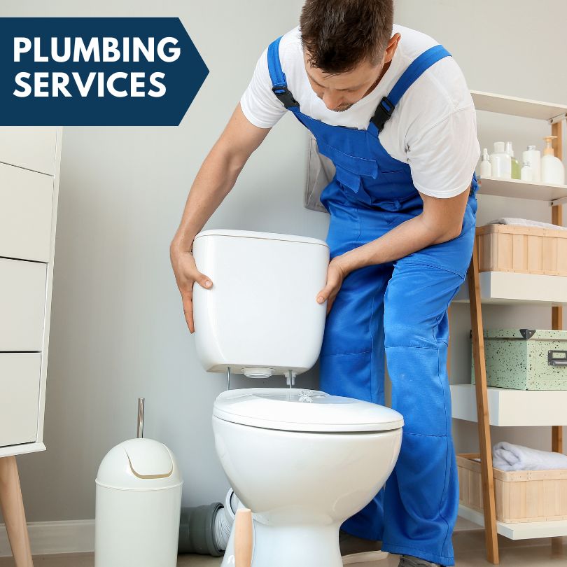 Plumbing Company in Grand View, ID